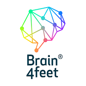 Brain4feet